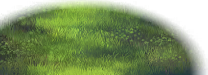 Grass base