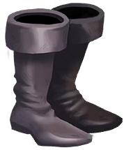 Tall Boots